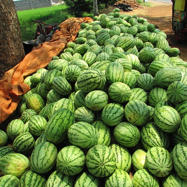 watermelon-331276_640